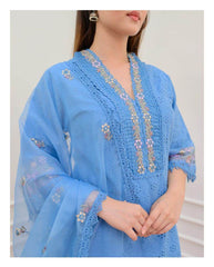 Heavy Afghani Cotton chikan suit set paired with organza dupatta - Eraya