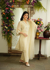 Beautiful pure chanderi fabric neck mirror work suit set