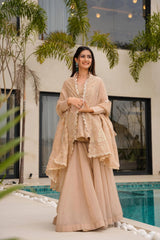 The beautiful golden tabby organza fabric kurti set