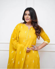 Sequence sitara work ekatra print cotton kurti set - Eraya