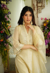 Beautiful pure chanderi fabric neck mirror work suit set